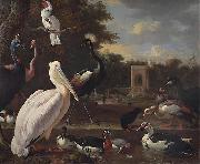 Melchior de Hondecoeter A Pelican and other exotic birds in a park oil